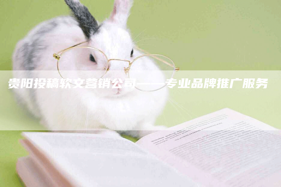 贵阳投稿软文营销公司——专业品牌推广服务