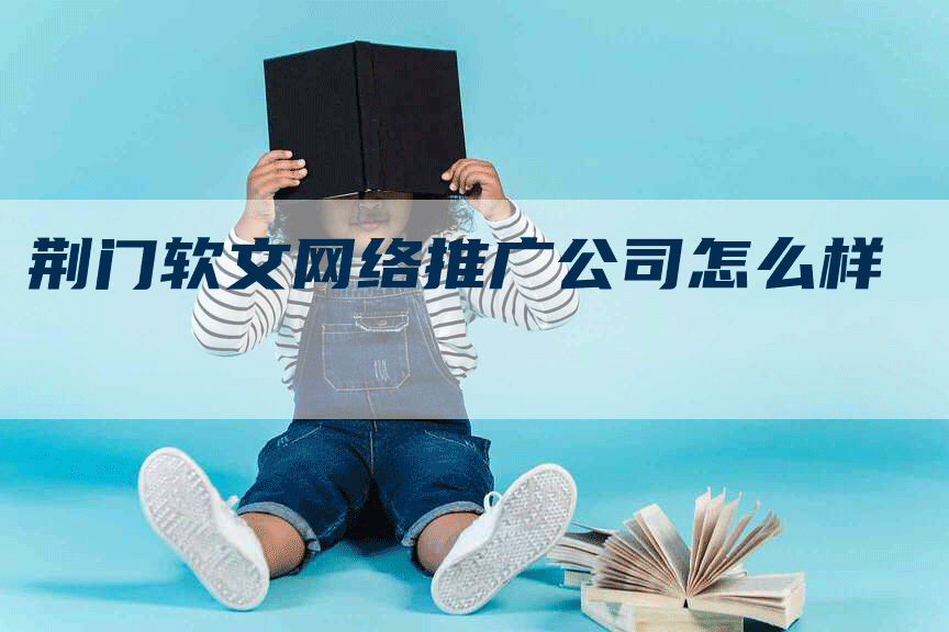 荆门软文网络推广公司怎么样